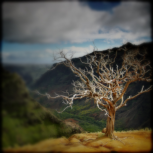 Variation 4