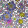 Flowers FB