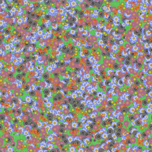 Variation 4