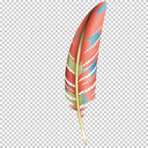 Variation 7
