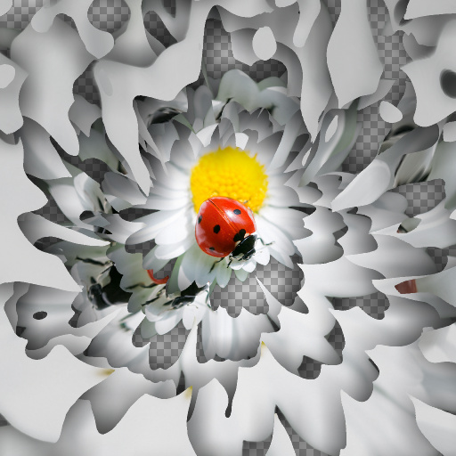 Variation 5