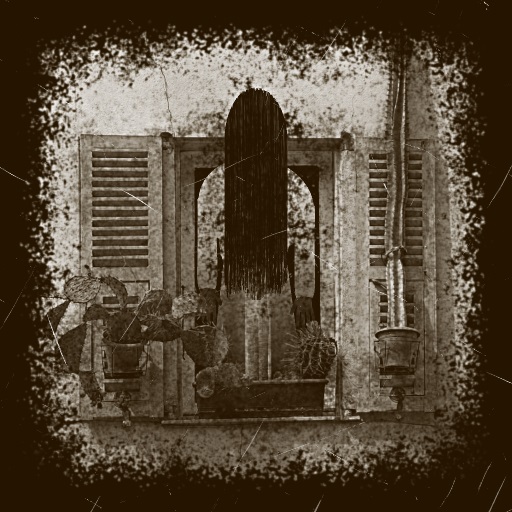 Variation 8
