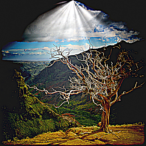 Variation 8