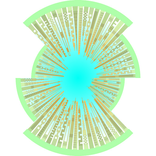 Variation 2