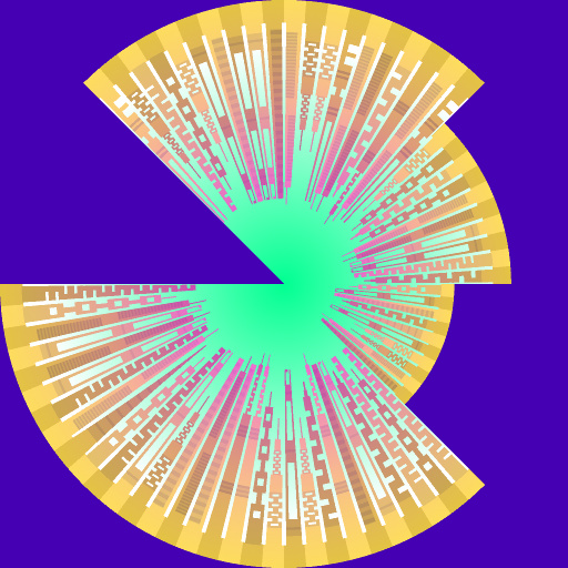 Variation 5