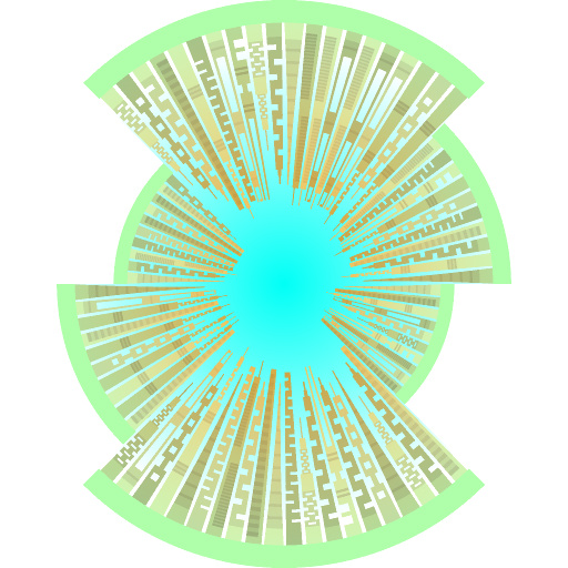 Variation 7