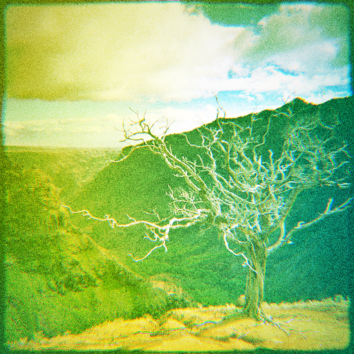 Variation 4