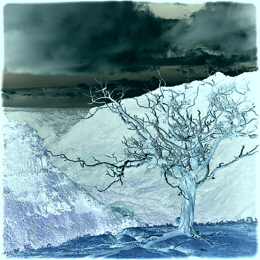 Variation 6