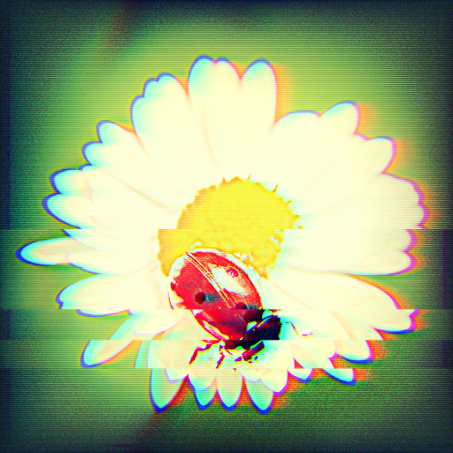 Variation 5