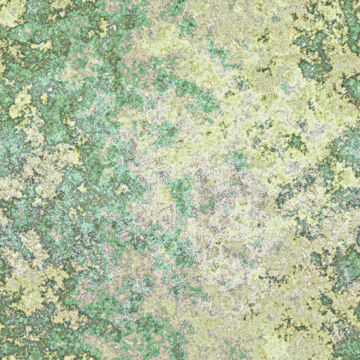 Variation 7