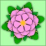 3 Levels Flower