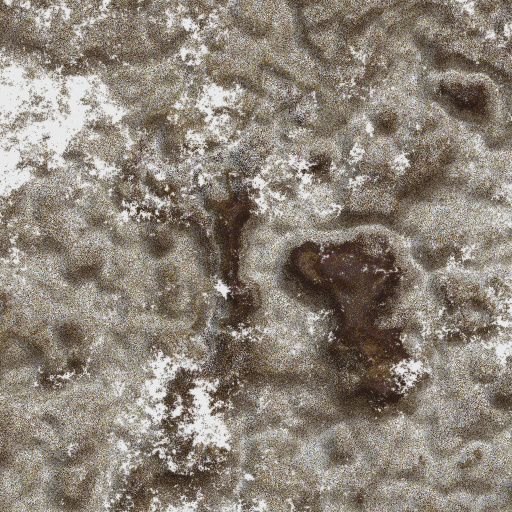 Variation 1