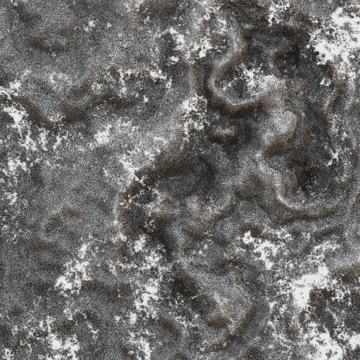 Variation 7