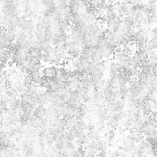 Ambient Occlusion Map