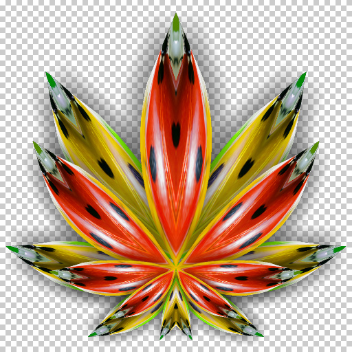 Variation 4