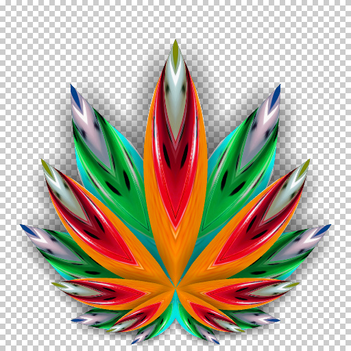 Variation 5