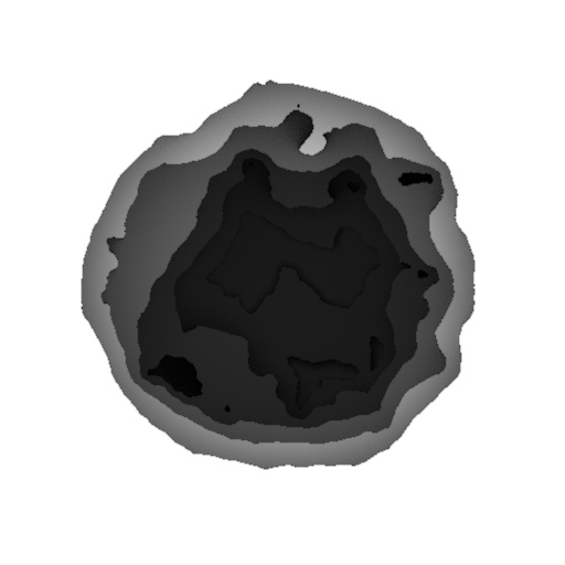 Ambient Occlusion Map