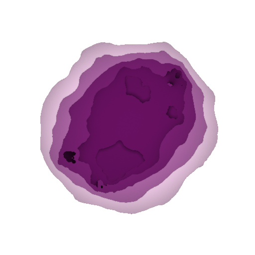 Variation 5