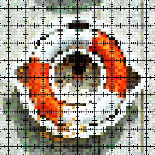 Variation 5