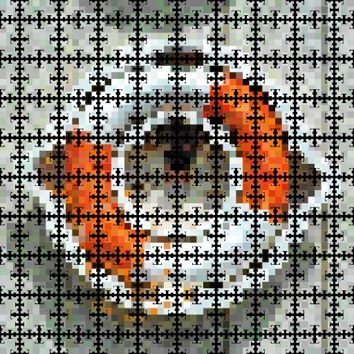 Variation 8