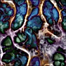 Alien Sensorium