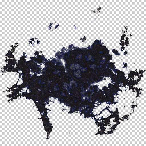Variation 4