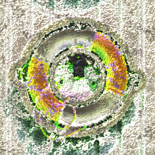 Variation 7
