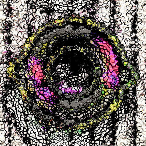 Variation 8