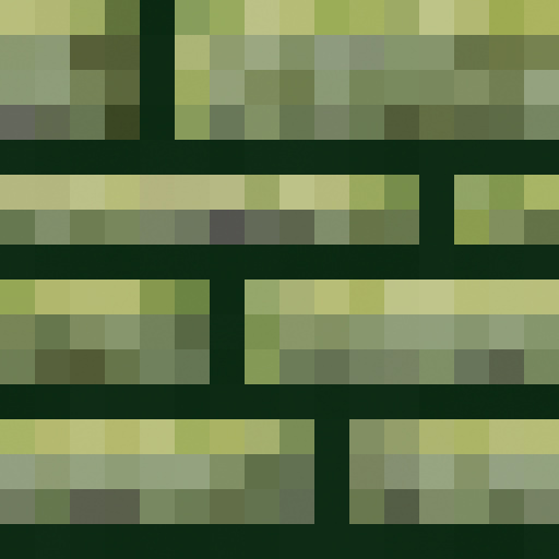 Variation 1