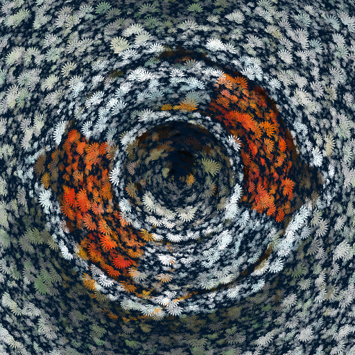 Variation 2