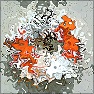 Distortion Doctor