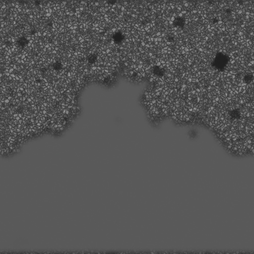 Roughness Map