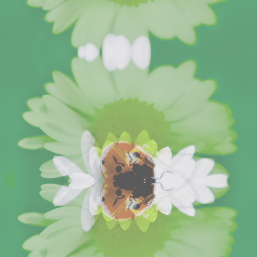 Variation 6