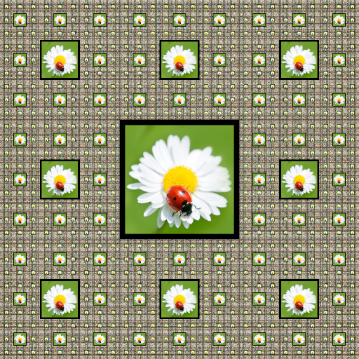 Variation 6