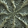 Quantum Weave