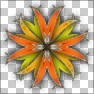 Quadflower Too