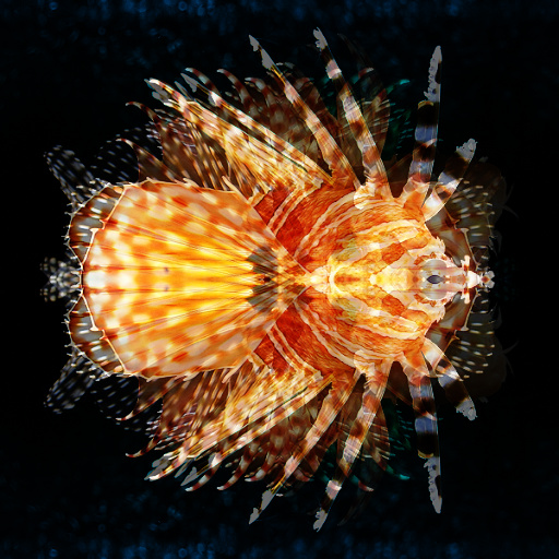 Variation 1