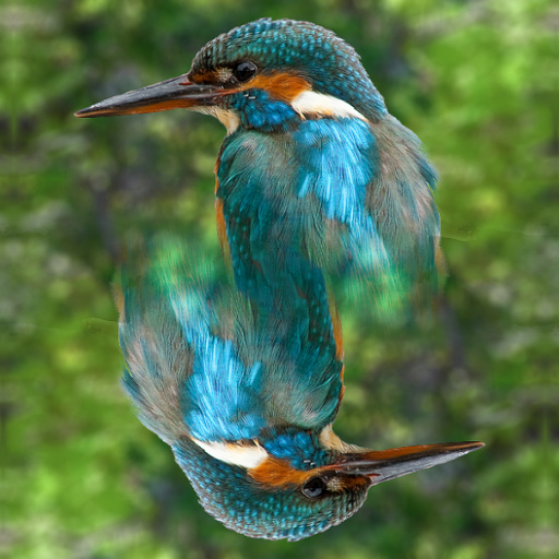 Variation 2