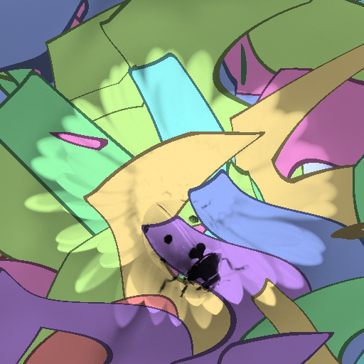 Variation 6