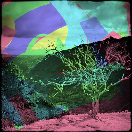 Variation 8