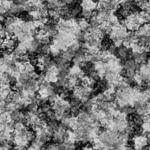 Height Map
