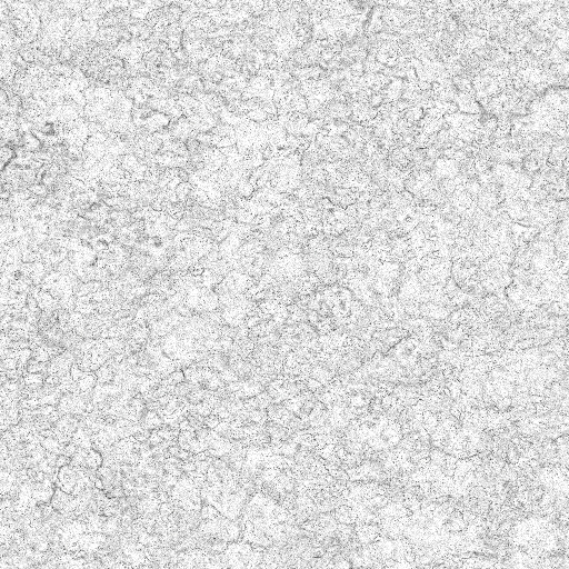 Occlusion Map