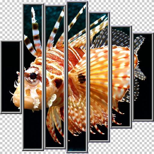 Multiframe