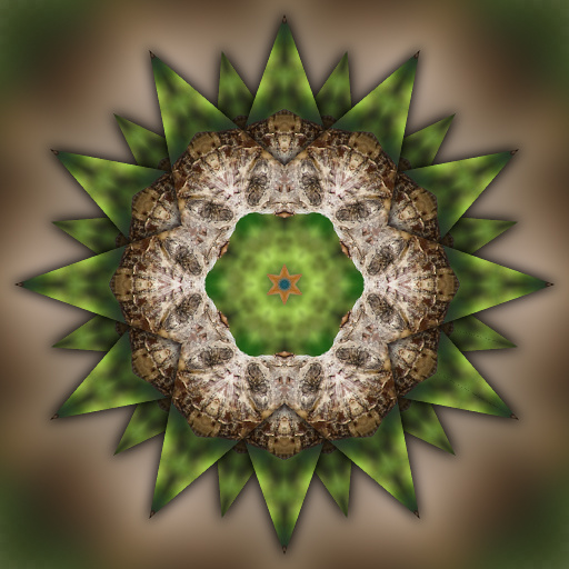 Variation 1