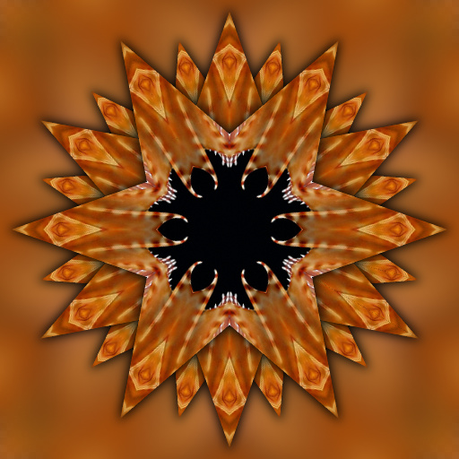 Variation 5