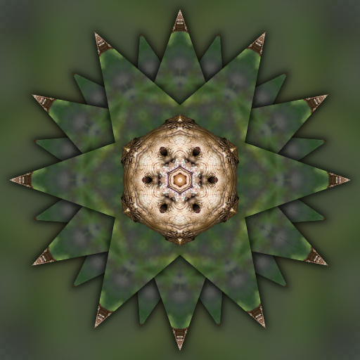 Variation 6