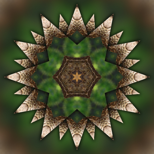 Variation 7