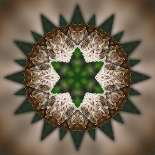 Variation 8
