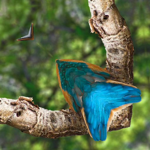 Variation 4