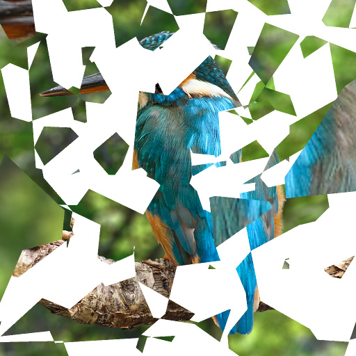 Variation 8